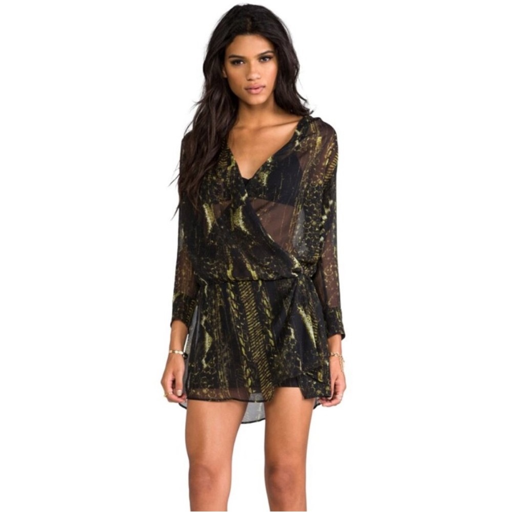 Revolve Iro Ruffled Dress